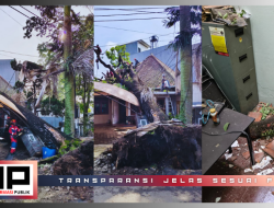 Pohon Besar Tumbang Timpa Kantor DPD IPHI 1987 Jawa Barat dan Kendaraan di Bandung