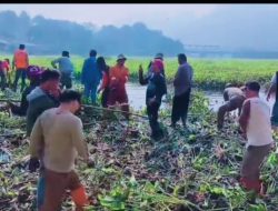 Dukung PLN, Pemkab Bandung Barat Bersihkan Eceng Gondok di Waduk Saguling