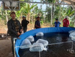Dadang M. Naser Salurkan Ribuan Benih Ikan di Padalarang, Perkuat Ketahanan Pangan & Ekonomi Masyarakat